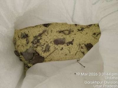 Damaged Stock of Sulphur